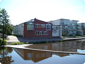 100_1157-3.JPG